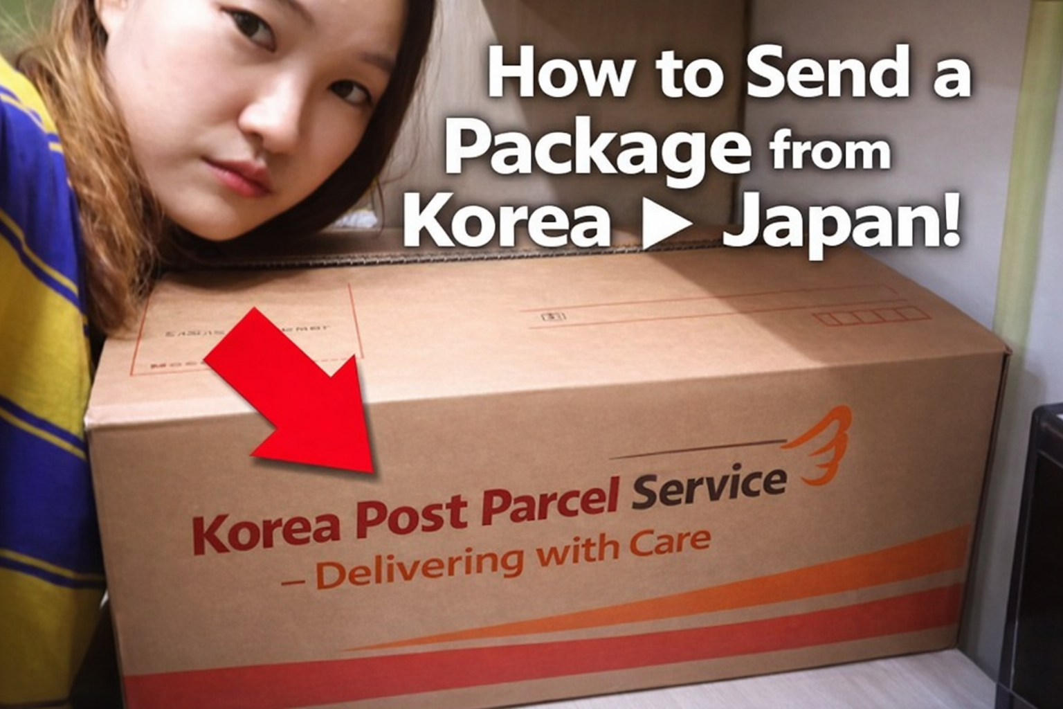 korea-to-japan-import-shipping-cost-saving