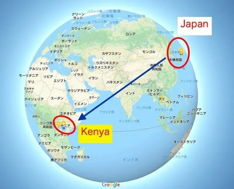 Japan to Kenya Shipping Guide: Methods, Costs, and Best Affordable Logistics Services