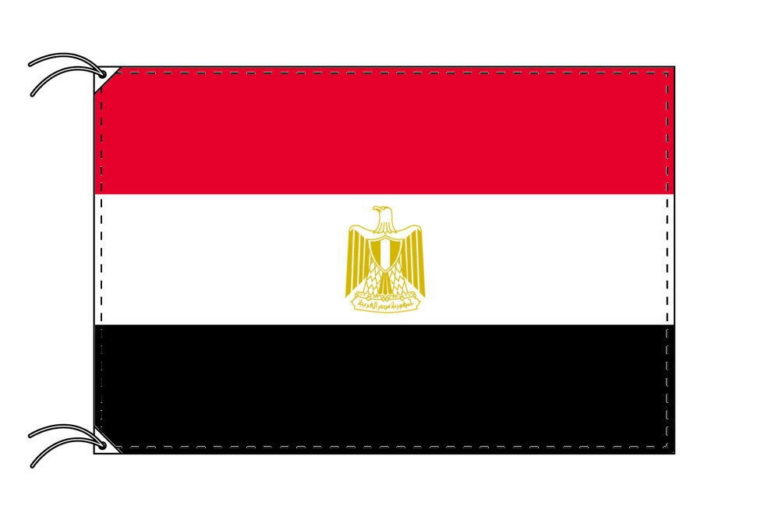 Japan to Egypt Shipping Guide: Process, Risks, and Best Affordable Logistics Services