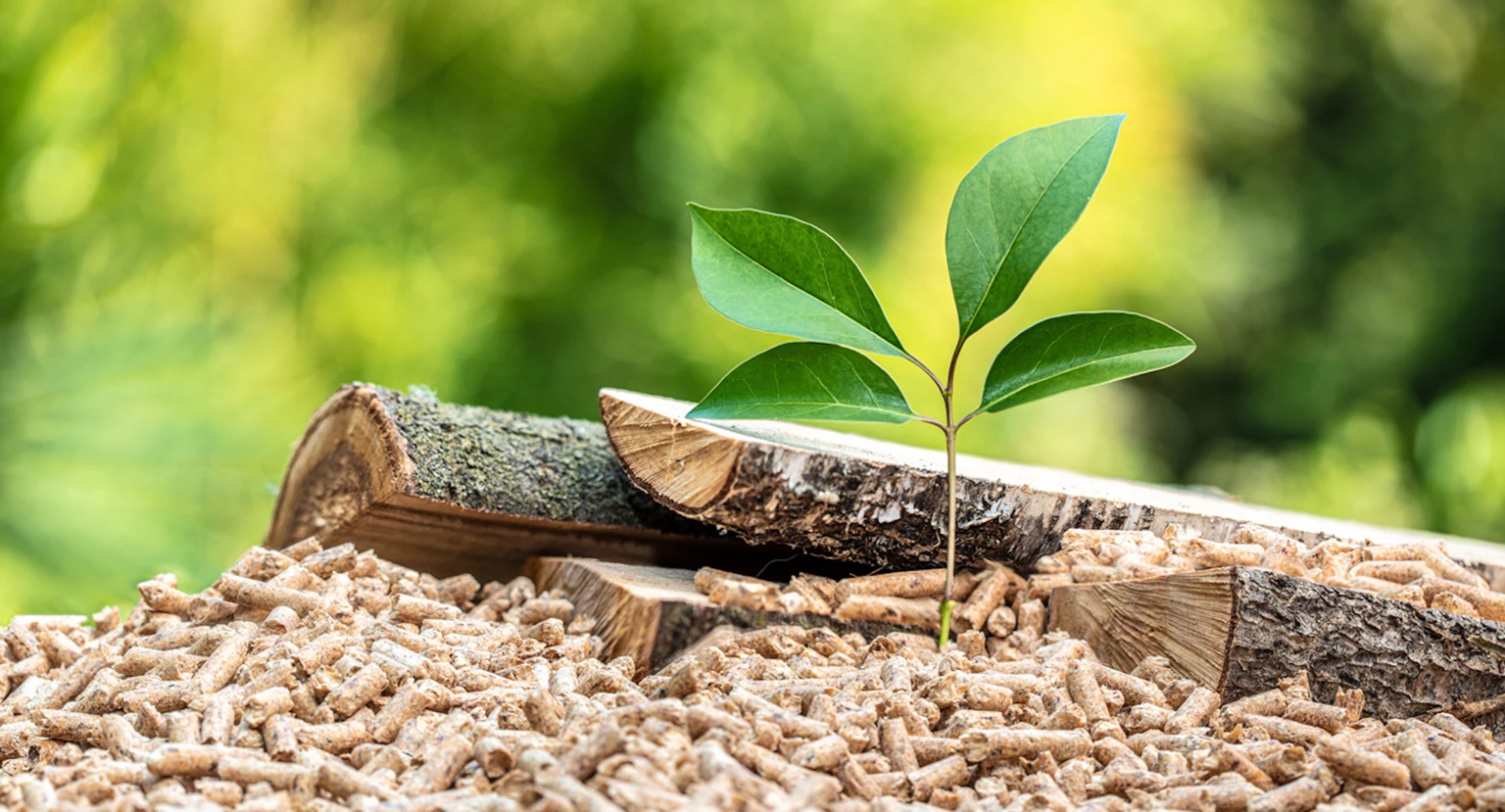 chemical-raw-material-freight-cost-management