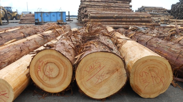 building-material-supply-chain-optimization-strategies