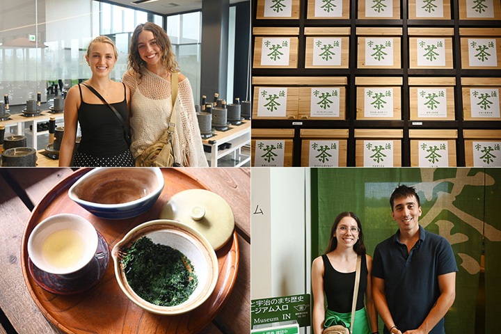 premium-japanese-matcha-buying-tips