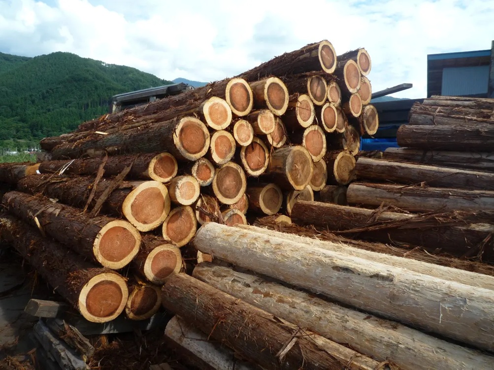 timber-supply-and-demand-imbalance-explained